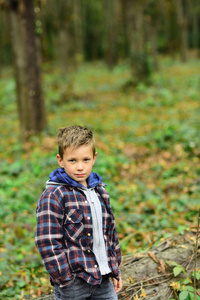 享受秋天的时光。小男孩在秋天的风景。小孩子在秋天的森林里散步。小男孩在新鲜空气中玩耍。秋天的日子是快乐的日子