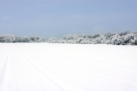 德国弗兰克森塔尔雪冬公园图片