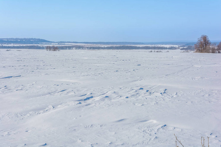 冬天森林附近的积雪覆盖的田野图片