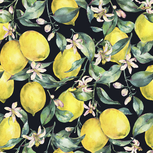 水彩复古无缝图案, 水果柠檬的分支