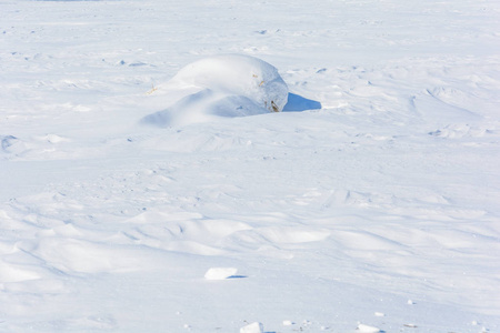 冬天，田野里堆积如山的雪