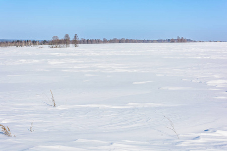 冬天森林附近的积雪覆盖的田野图片