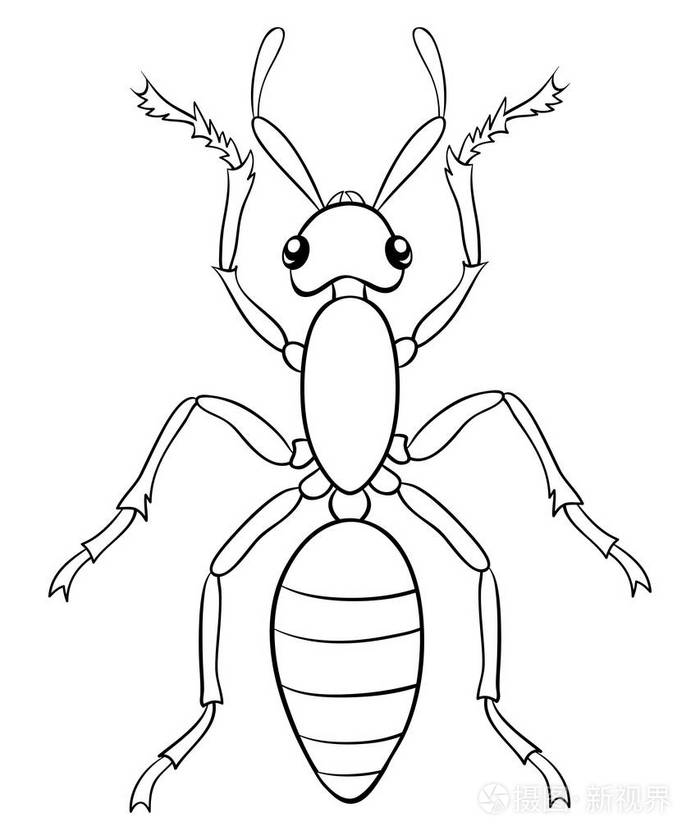 儿童用彩色书页.印刷用线条艺术风格插图.海报设计.
