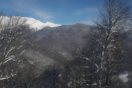 雪山冬季滑雪场的顶部