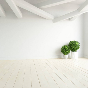空荡荡的斯堪的纳维亚房间内部，木地板上有植物。 家北欧内部。 三维插图