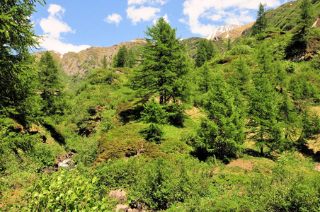 意大利欧洲山脉的顶峰岩石全景