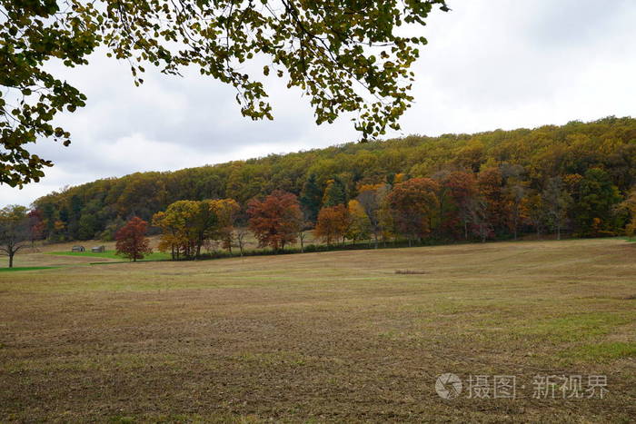 秋天公园的景色,有绿色的草坪和黄色的叶面树