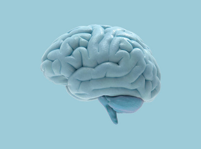 3D人脑渲染在侧视图隔离粘贴蓝色背景与剪辑面具，用于任何背景