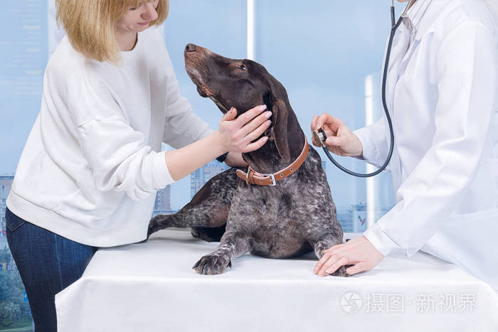 这个概念是动物医学中心.