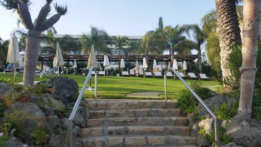 美丽的花园在阿马图斯海滩酒店花园利马索尔塞浦路斯