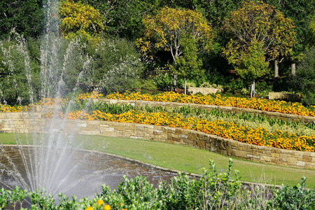 在明亮的阳光和喷泉池中盛开着黄色鲜艳花朵的花坛