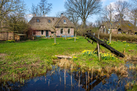 荷兰基特霍恩的早春景色，这是一个传统的荷兰村庄，到处都是运河和美丽的乡村茅草屋顶农场房屋