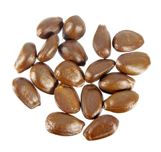 白色背景下分离出的雪莲花种子照片