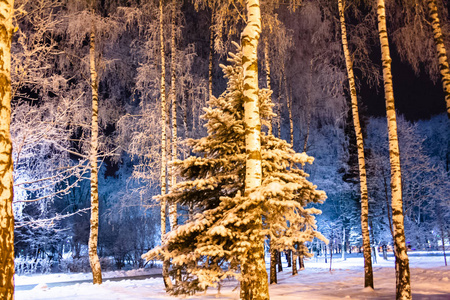 冬景色素材图片 冬景色图片素材下载 摄图新视界