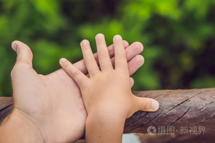 父亲手引导孩子儿子在夏天森林自然室外,信任家庭概念