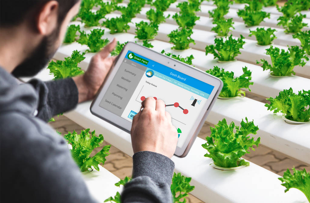 中国科研团队研发出AI看病系统诊断罕见病“有根有据”