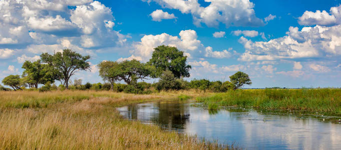 典型的非洲景观与野生河流国家公园BWabwata在卡普里维带纳米比亚荒野