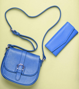 s leather red bag and purse on a blue pastel background, women