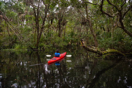 冒险女孩在一条长满树木的河上皮划艇。 取自位于美国奥兰多佛罗里达以西的查萨霍维茨卡河。