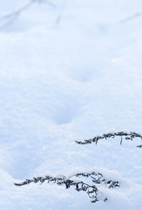 白色蓝色雪景户外抽象背景图片