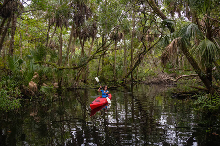 冒险女孩在一条长满树木的河上皮划艇。 取自位于美国奥兰多佛罗里达以西的查萨霍维茨卡河。