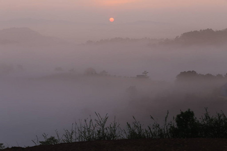 太阳的背景和神奇的浓雾笼罩着日出时的农场雾