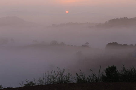 太阳的背景和神奇的浓雾笼罩着日出时的农场雾
