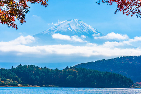 秋季环湖枫叶树的富士山美景