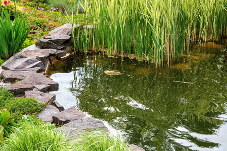 一个有水和芦苇的人工池塘的景观设计是沿着海岸的边缘铺上一块装饰石，种植在叶子植物周围，没有人靠近。