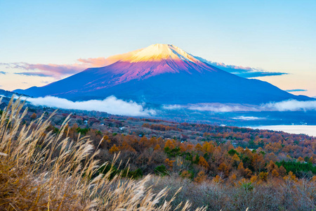 日本秋季稻子或山坂湖富士山的美丽景观