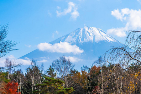 日本秋季环湖枫叶树的富士山美景