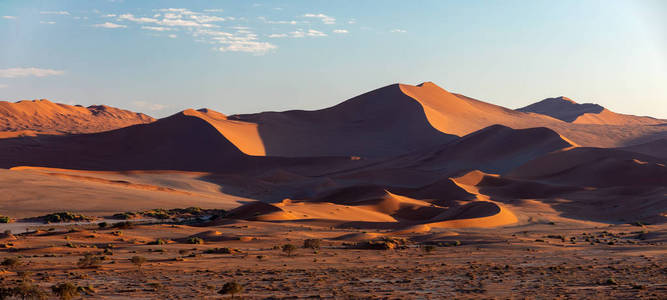美丽的黄昏色，隐藏在纳米比亚沙漠中的枯死的vlei景观，死相思树，山谷，蓝天，纳米比亚