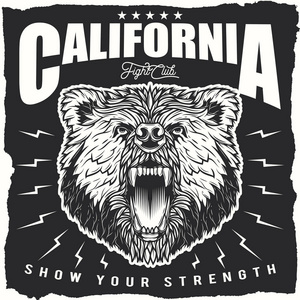 黑白熊标志图片