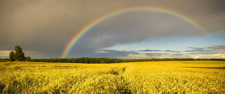 经过暴雨后，田野上出现了五彩缤纷的彩虹