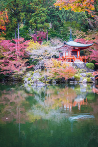 日本京都，秋季有五颜六色的树木和树叶的美丽的大宫寺