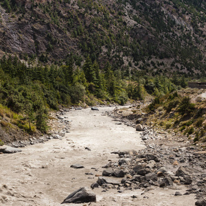 河流与岩石山和休息在安纳普尔纳地区尼泊尔。
