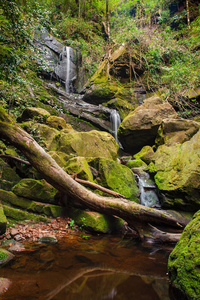泰国乌托邦国家公园瀑布图片
