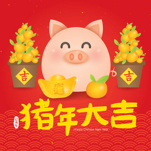 2019中国新年，猪年矢量插图。翻译猪的吉祥年