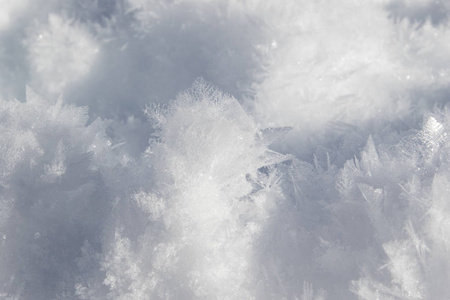 雪晶雕刻的天然鸭像图片