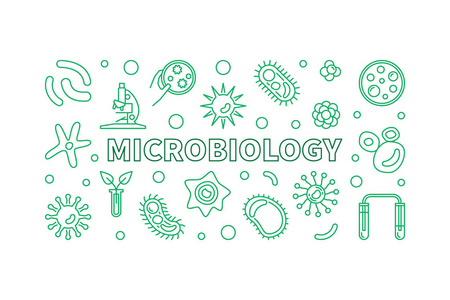 微生物学线横幅。载体细菌学绿色例证