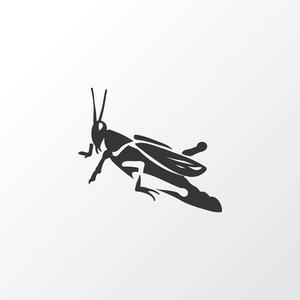 蝗虫 图标符号。时尚风格的优质隔离螳螂元素