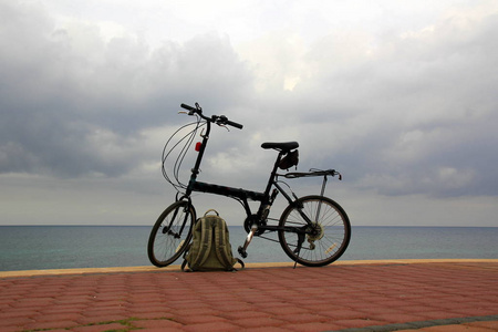 自行车轮式车辆由人的肌肉力量通过脚踏板运动