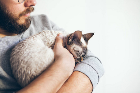 s hands. Closeup of a beard man with sleeping cat on his arms. 