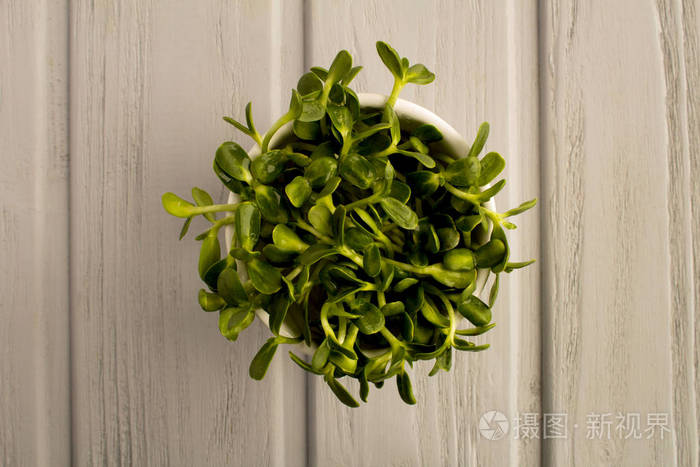 南瓜芽在白色的碗里在灰色的木制背景上顶部视图复制空间