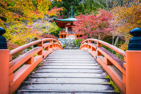 日本京都，秋季有五颜六色的树木和树叶的美丽的大宫寺