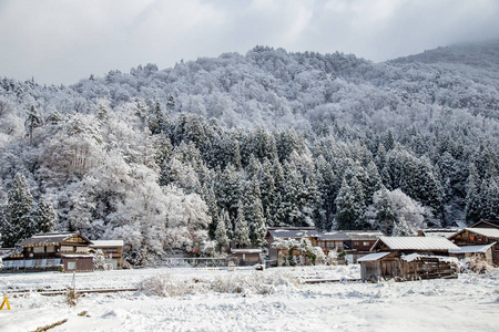 白川村在冬季的性质，包括传统的房子加绍风格和联合国教科文组织的世界遗产之一，日本岐阜。