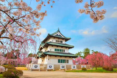 樱花盛开樱花樱花盛开在平崎公园的平崎城堡，是东北地区和日本最美丽的樱花点之一