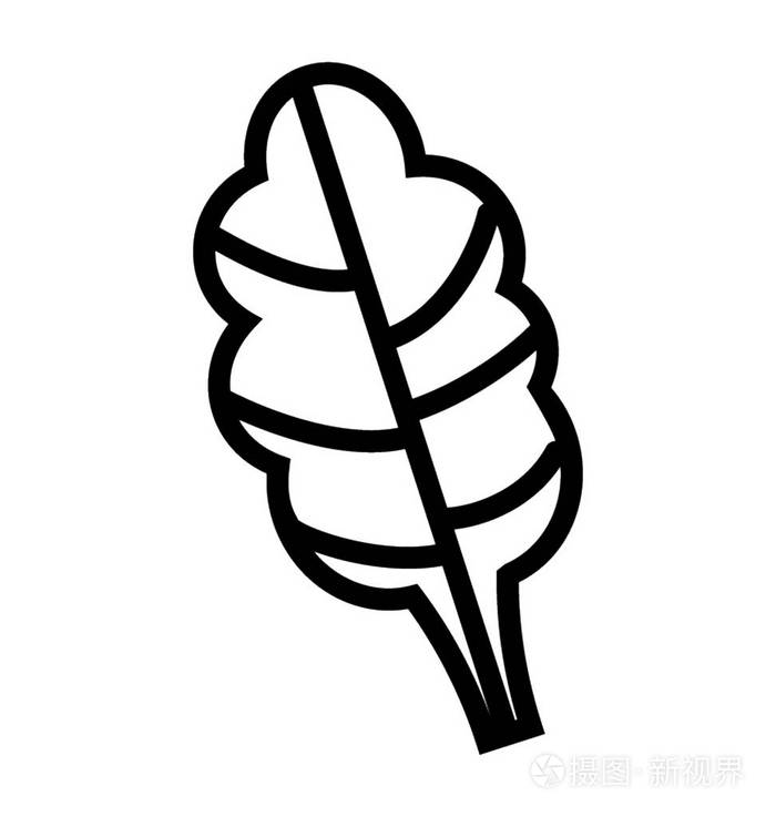 新鲜的婴儿菠菜叶子图标插画-正版商用图片16jv50-摄图新视界