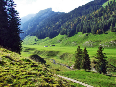瑞士内罗登阿彭策尔山脉州阿尔普斯坦山脉的照相牧场和山丘