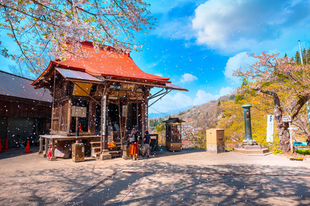 日本福岛县樱花寺